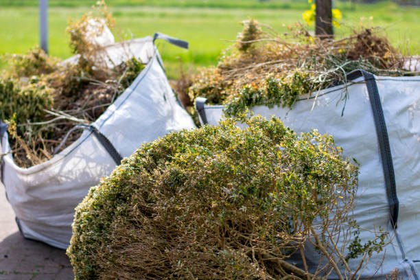Best Electronics Removal Services  in Wayland, IA